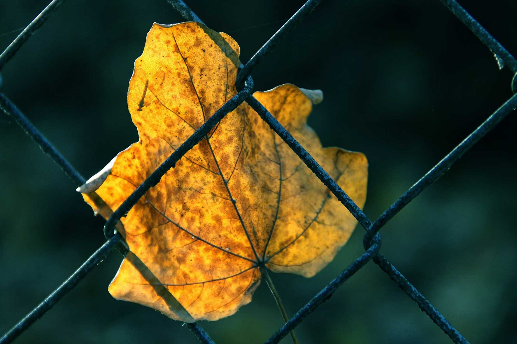 What Happens If I Lose A Small Claims Case Small Claims Portal